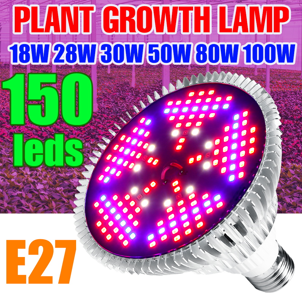 LED   ü Ʈ Phytolamp E27 Ĺ UV ..